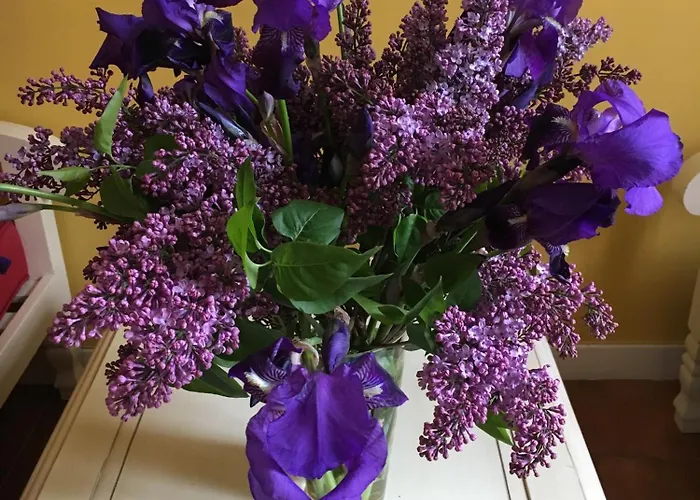 Casa Meridiana Calacuccia